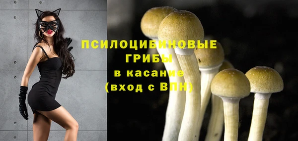 mdpv Верхний Тагил